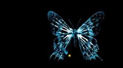 Эффект бабочки − что значит термин: описание простыми словами, примеры из жизни